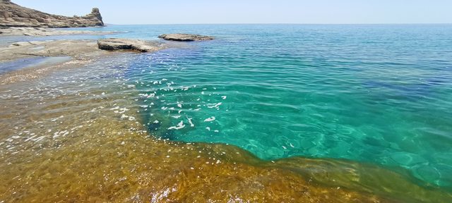 Полоса охристого дна переходит в бирюзу у берега Голубой бухты — вода прогрета до самого камня.